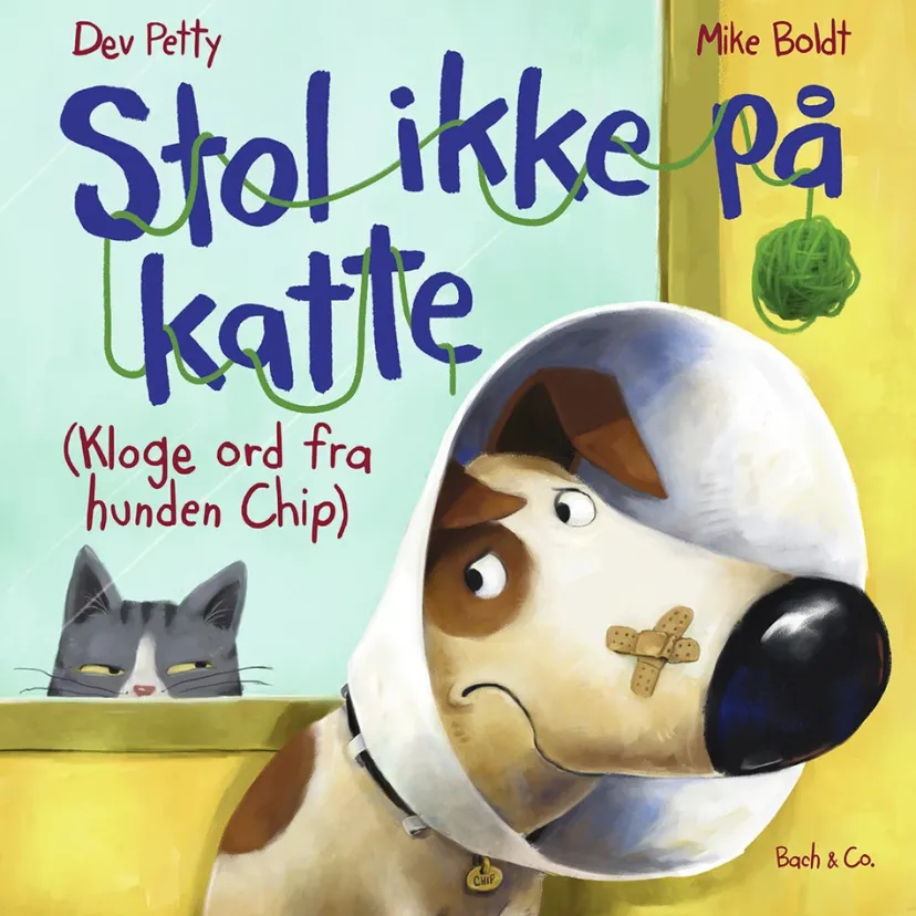 Stol ikke på katte>