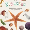 Stranden> Discount