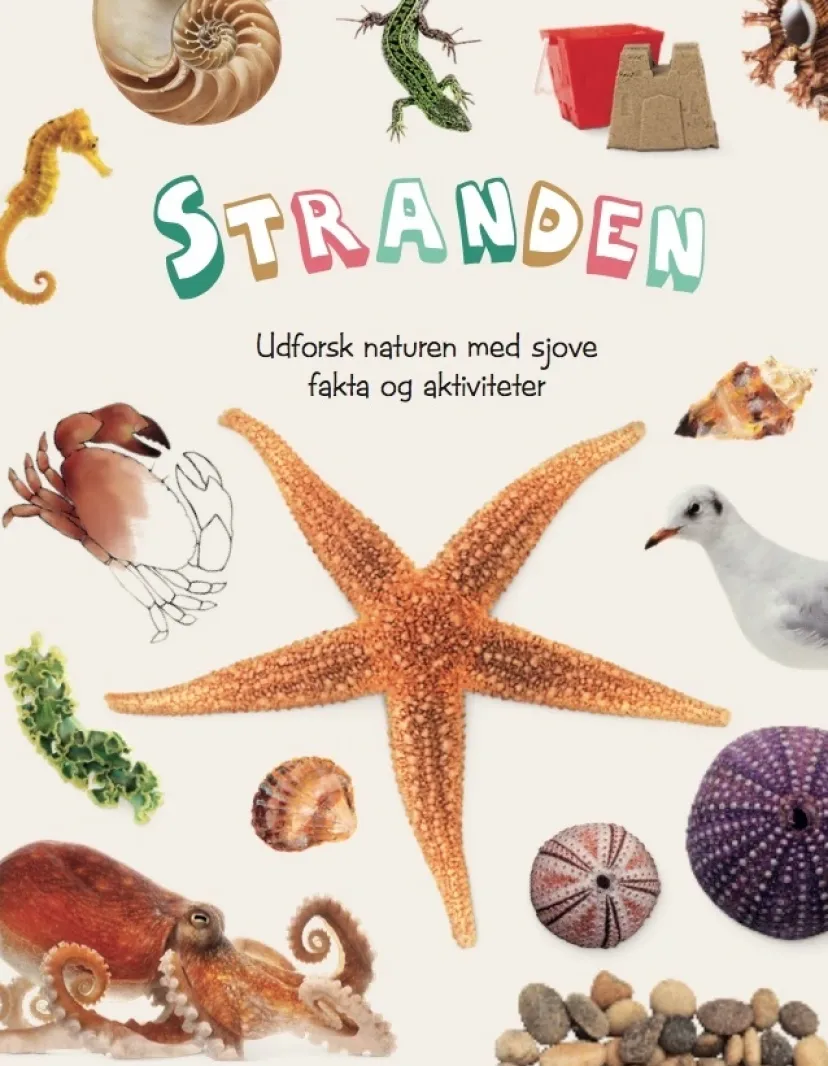 Stranden> Discount