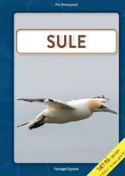Sule> Discount