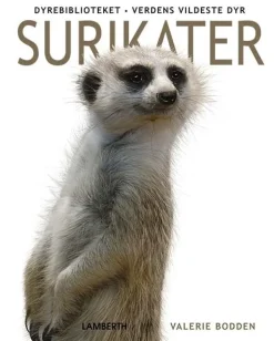 Surikater> Online