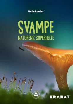 Svampe> Best