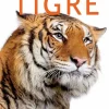 Tigre> New