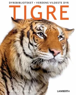 Tigre> New