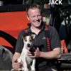 Traktorhunden Jack> Discount