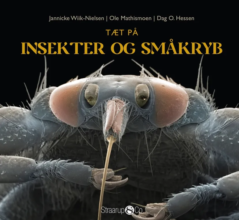 Tæt på insekter og småkryb> Discount