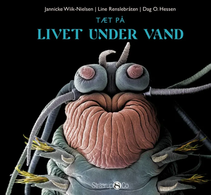 Tæt på livet under vand> New