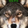 Ulve>