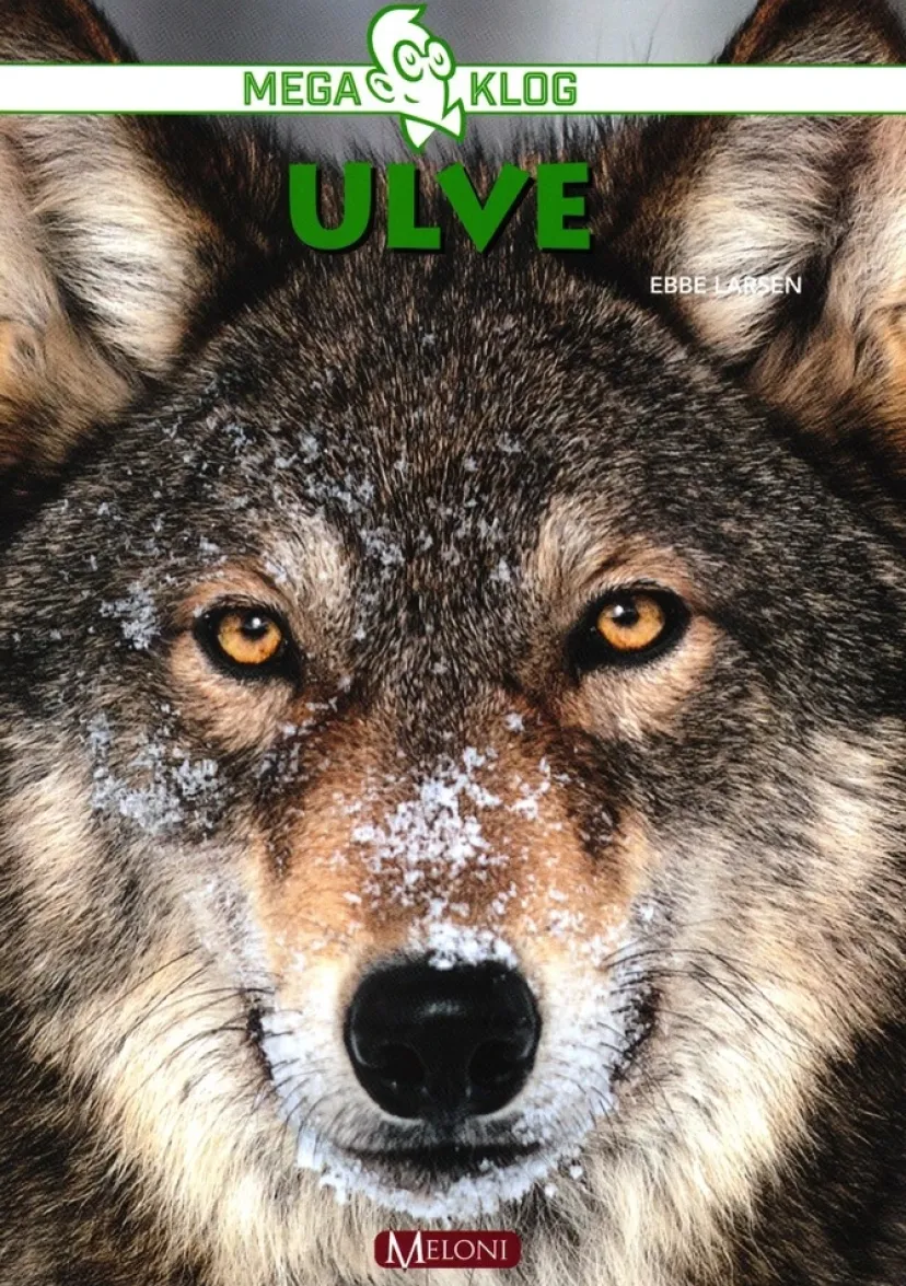 Ulve>