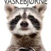 Vaskebjørne> Outlet