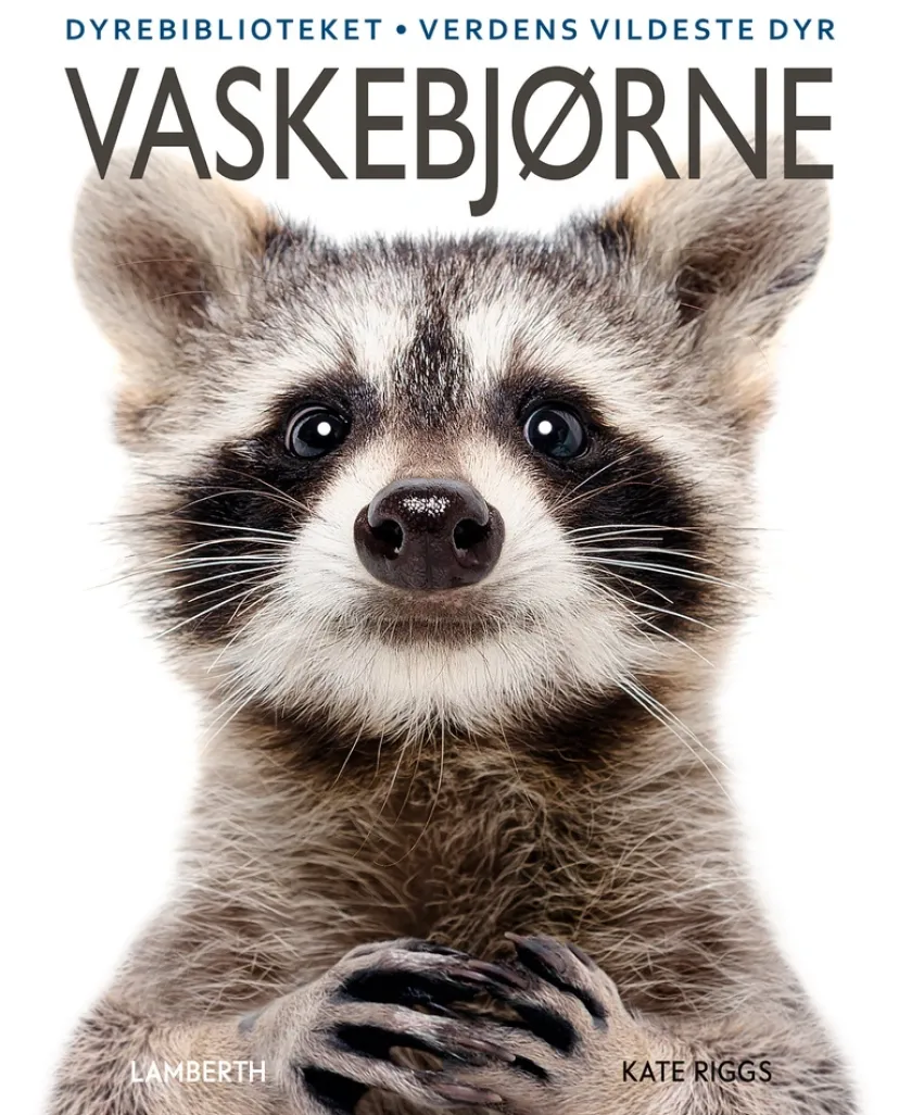 Vaskebjørne> Outlet