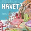 Vil du vide mere om havet?>