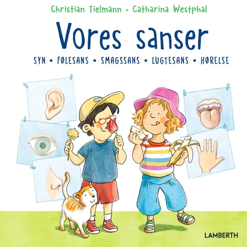 Vores sanser> New